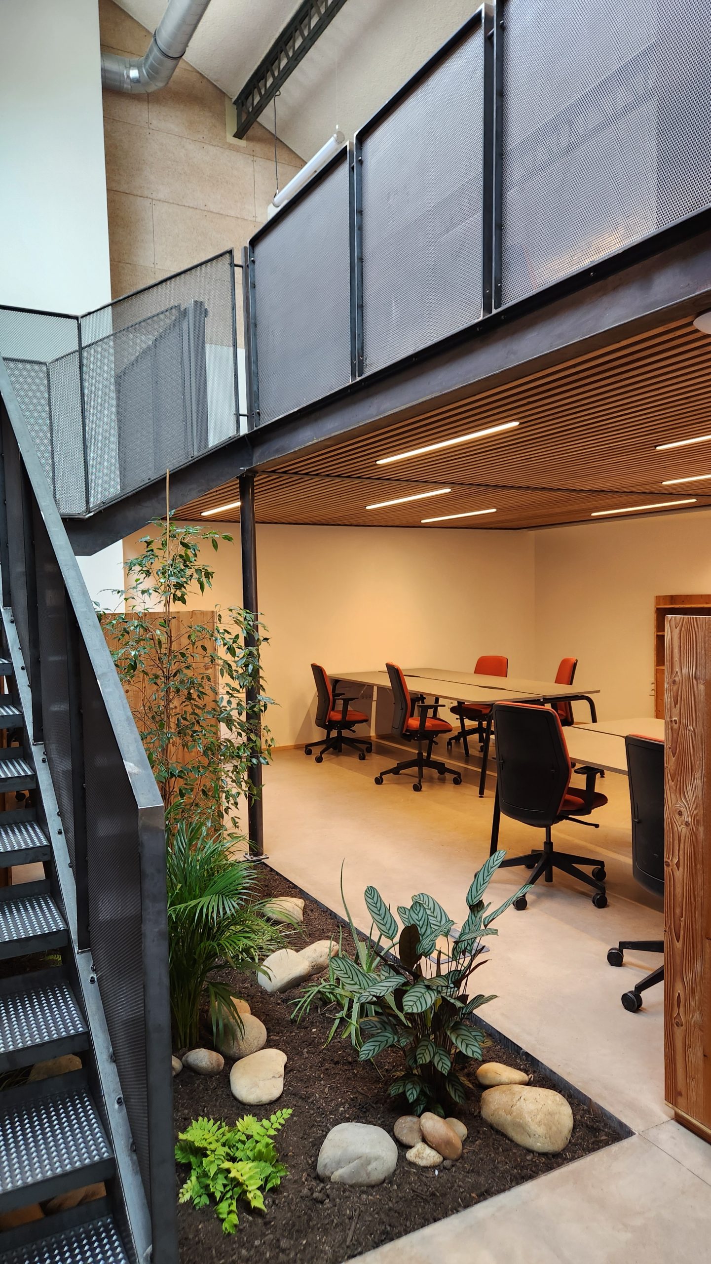 20250610_155554 bureaux noo