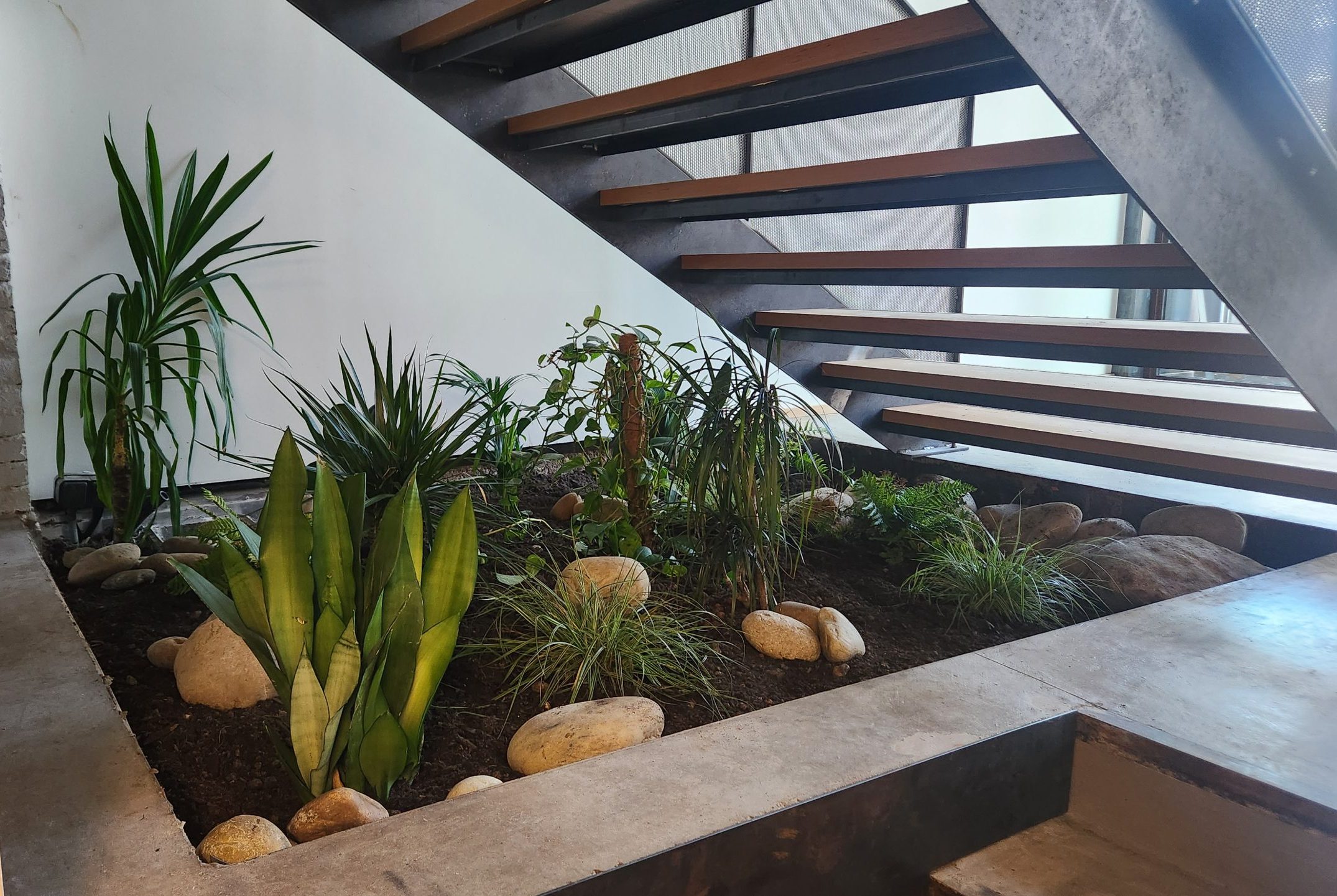 20250611_105455 mezzanine